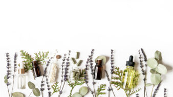 homeopathy medicine