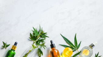 cbd and hemp