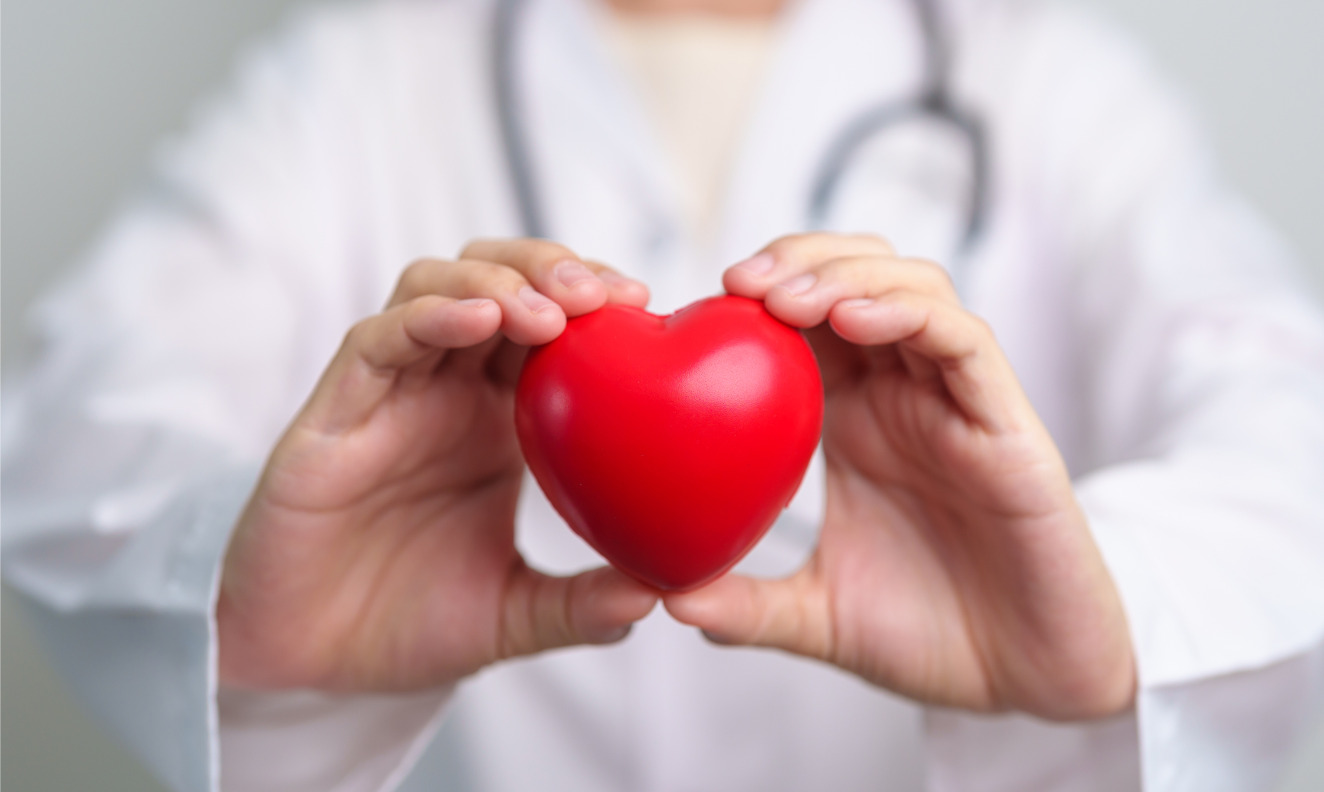 doctor holding a red heart